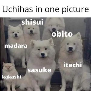  - am i too good to be gone