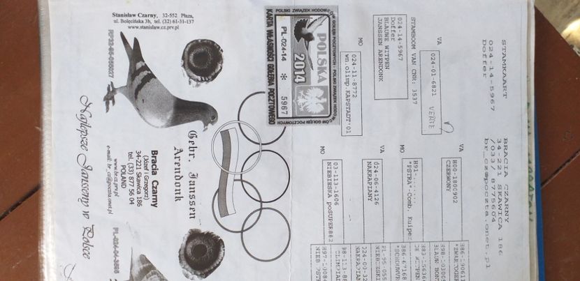 - Lichidare crescatorie porumbei voiajori de concurs 2021