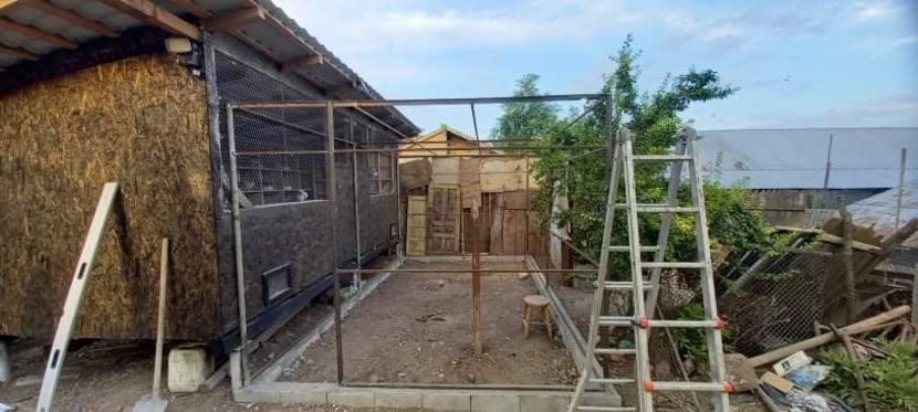 received_1697119787145368 - Voliera