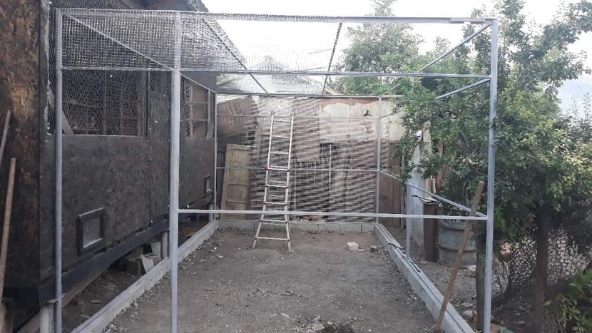 received_1022551121916568 - Voliera