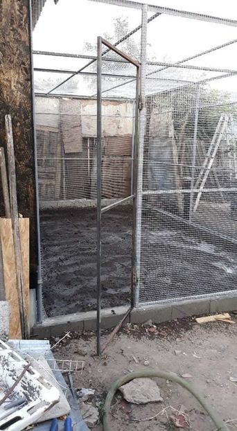 received_877124759850805 - Voliera