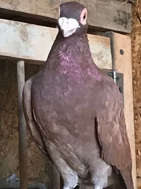 EB4B0657-5255-4A17-A94A-D9840830DC8D - Tineret 2021