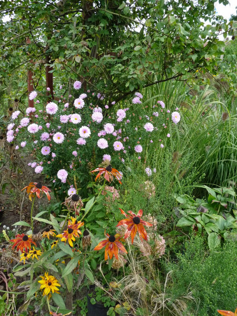  - 2021 - 03 - Toamna