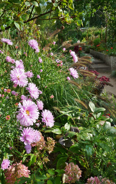  - 2021 - 03 - Toamna