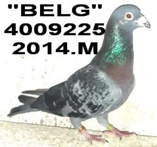 4009225-2014..M - 2 MATCA 2022