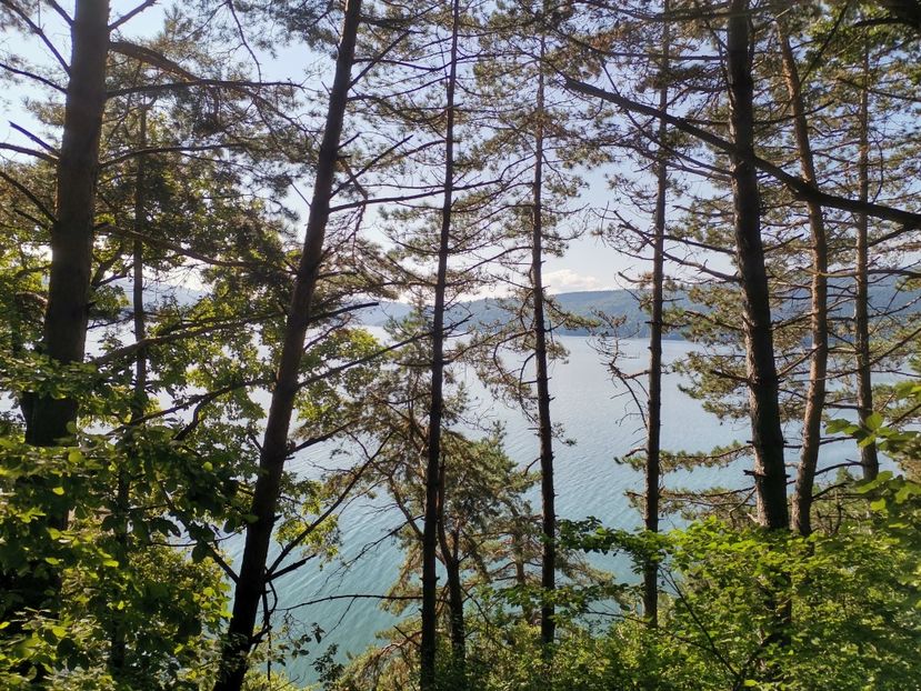  - Izvorul Muntelui-Ceahlău