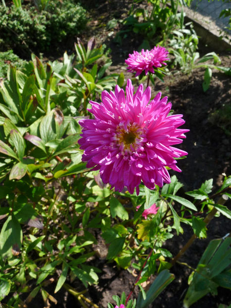  - 2021 - 03 - Toamna