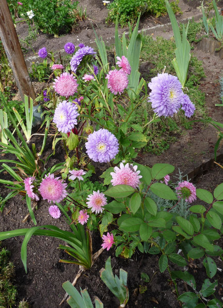  - 2021 - 03 - Toamna