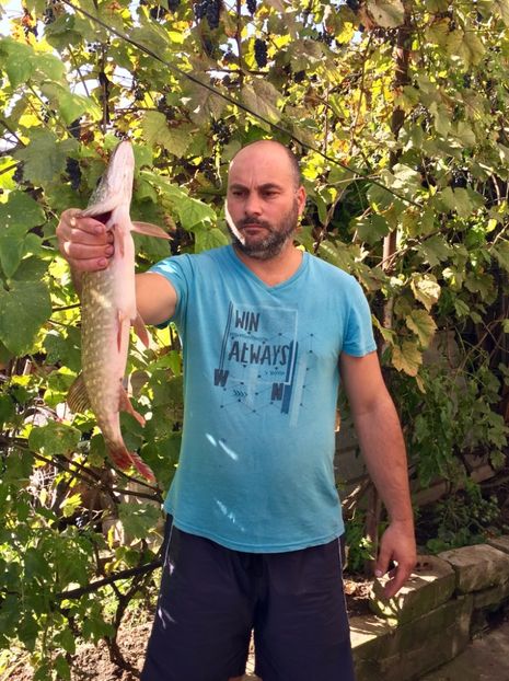 7B02EA14-FE5F-4090-95D1-30B1149E1C94 - 11SPINNING LA STIUCA