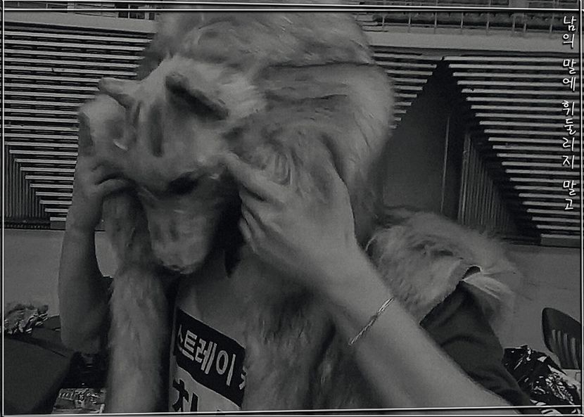 ˢᵖᵉᵃʳᵇ―ᴅᴏɴ·ᴛ ʙᴇ sᴡᴀʏᴇᴅ ʙʏ ᴏᴛʜᴇʀ ᴘᴇᴏᴘʟᴇ·s ᴡᴏʀᴅs ₂₈.₀₉.₂₁ - cant live without_seo changbin