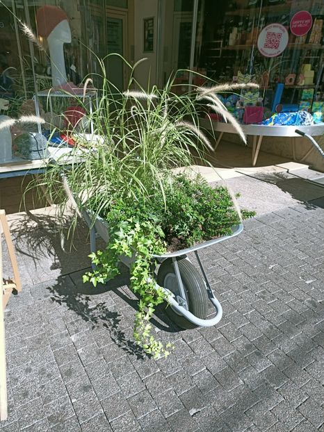 Img.2021.09.18 - 1 A Ai zâmbit azi?