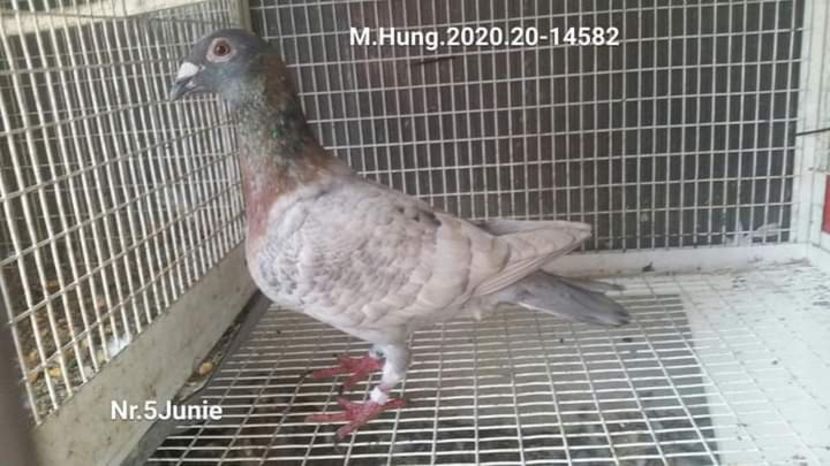  - Nu îmi aparțin 3