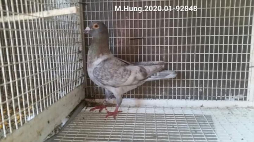  - Nu îmi aparțin 3