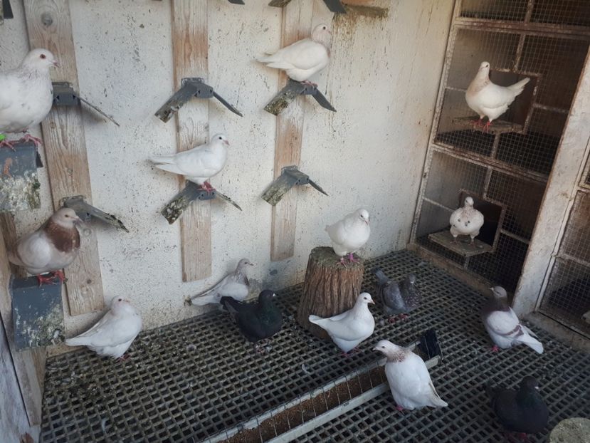  - DE VANZARE OCTOMBRIE 2021