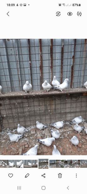 Screenshot_20210929-180921_Gallery - INSTANTANEE AZURI