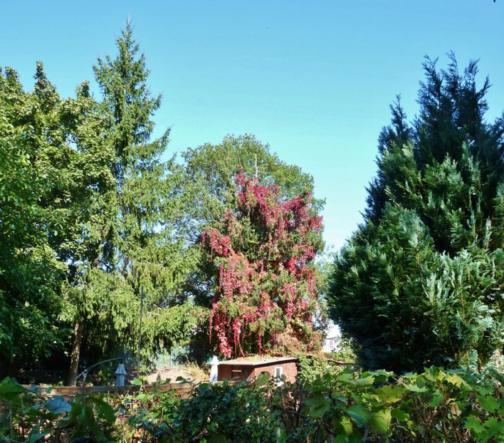  - 2021 - 03 - Toamna