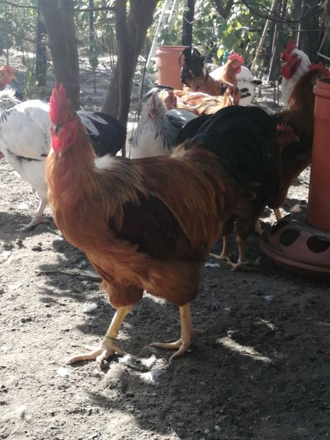  - 2021 New Hampshire