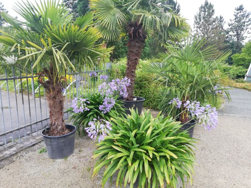  - 2021 Gradina botanica din Bayreuth