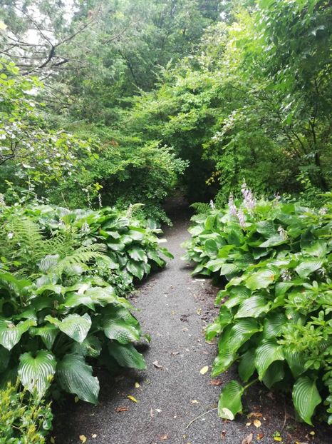  - 2021 Gradina botanica din Bayreuth