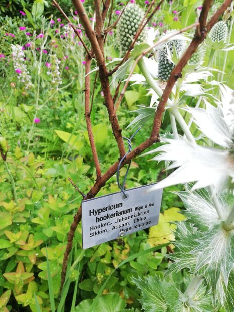  - 2021 Gradina botanica din Bayreuth