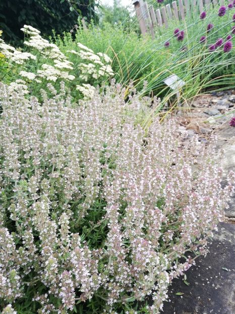  - 2021 Gradina botanica din Bayreuth