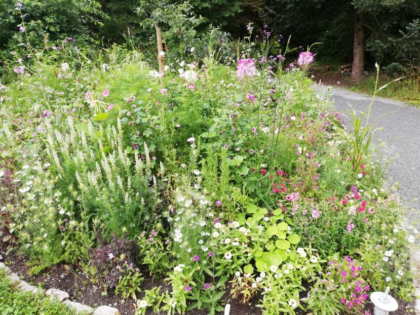  - 2021 Gradina botanica din Bayreuth