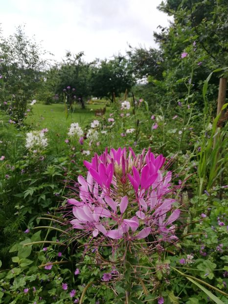  - 2021 Gradina botanica din Bayreuth