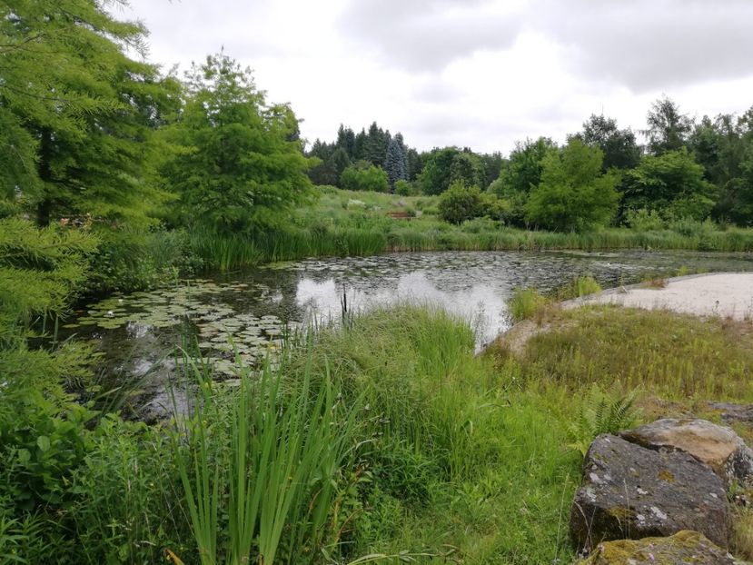  - 2021 Gradina botanica din Bayreuth