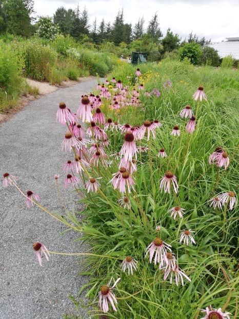  - 2021 Gradina botanica din Bayreuth