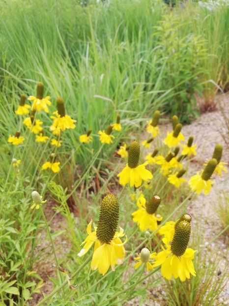  - 2021 Gradina botanica din Bayreuth