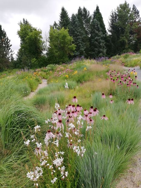  - 2021 Gradina botanica din Bayreuth