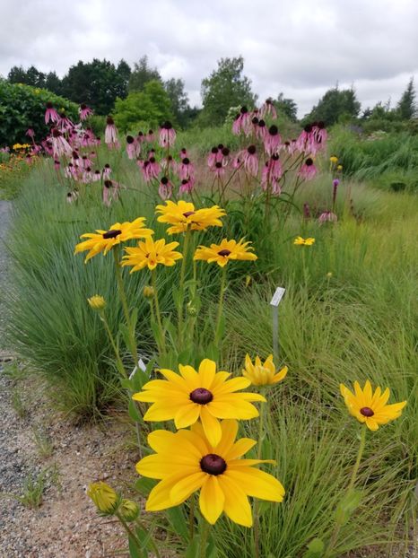  - 2021 Gradina botanica din Bayreuth