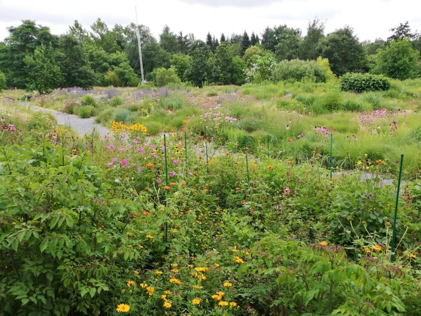  - 2021 Gradina botanica din Bayreuth