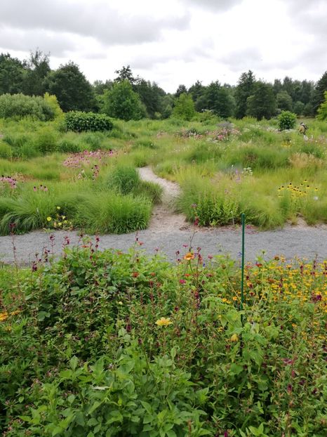  - 2021 Gradina botanica din Bayreuth