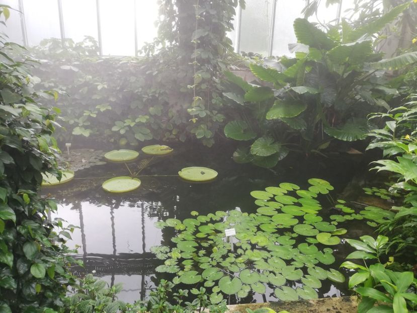  - 2021 Gradina botanica din Bayreuth