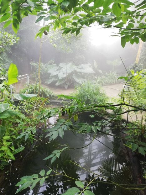  - 2021 Gradina botanica din Bayreuth