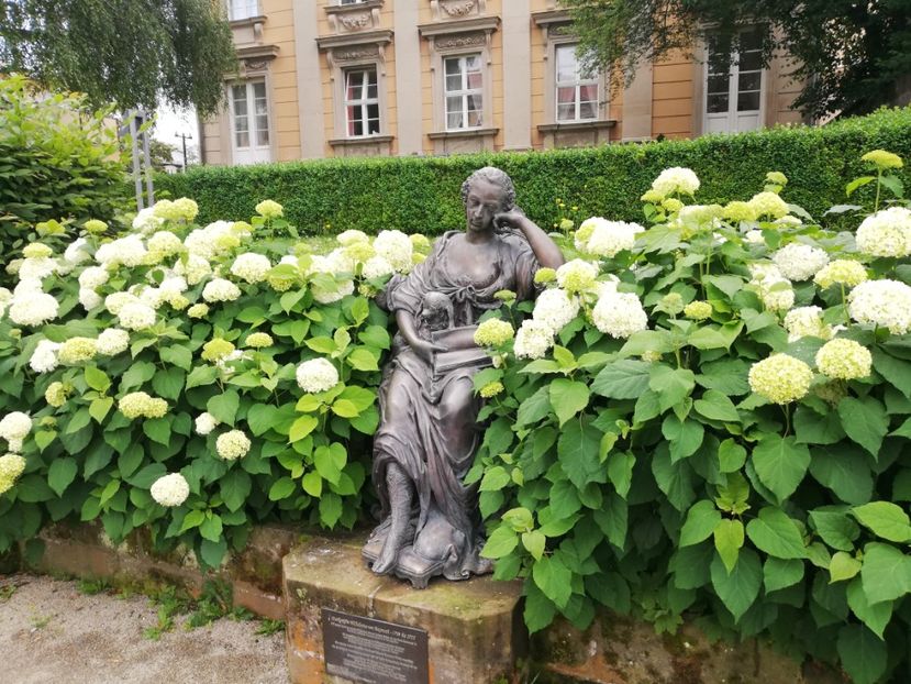  - 2021 Gradina botanica din Bayreuth
