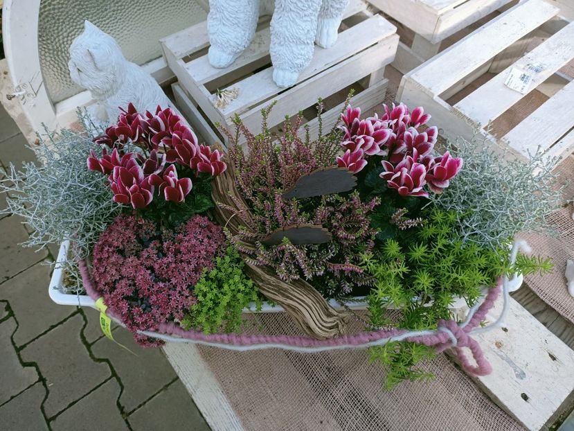 Img. 2021.09.30 - A -Magazin