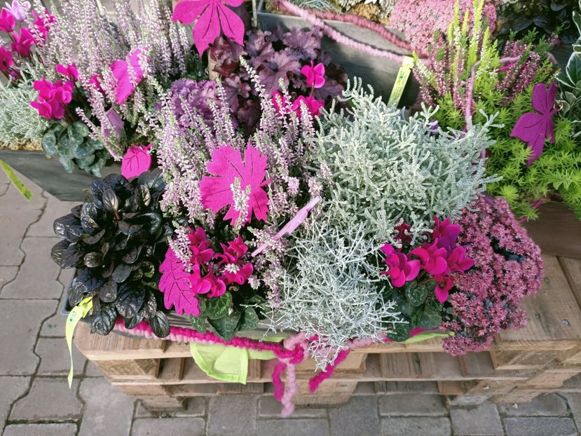 Img. 2021.09.30 - A -Magazin