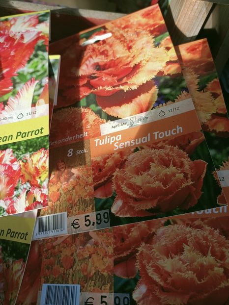Img.2021.09.30 - A -Magazin