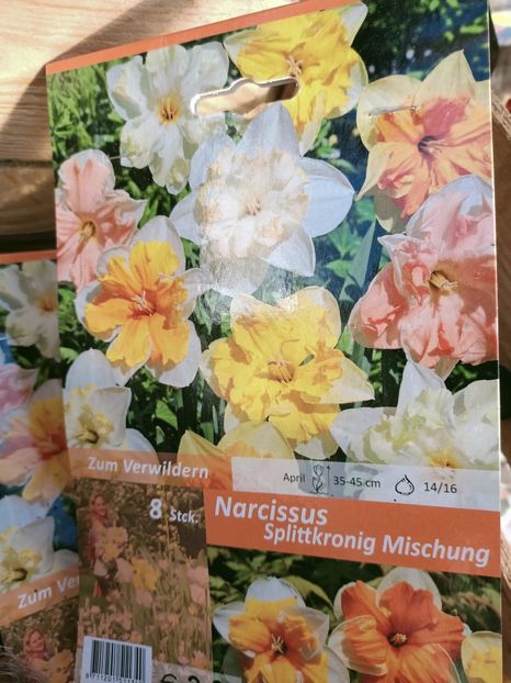 Img. 2021.09.30 - A -Magazin