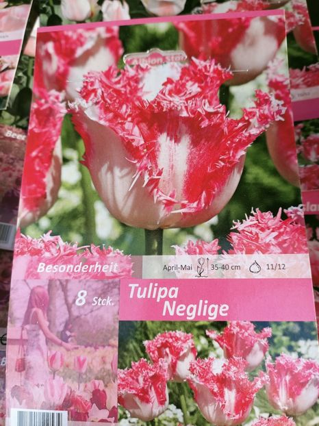 Img.2021.09.30 - A -Magazin