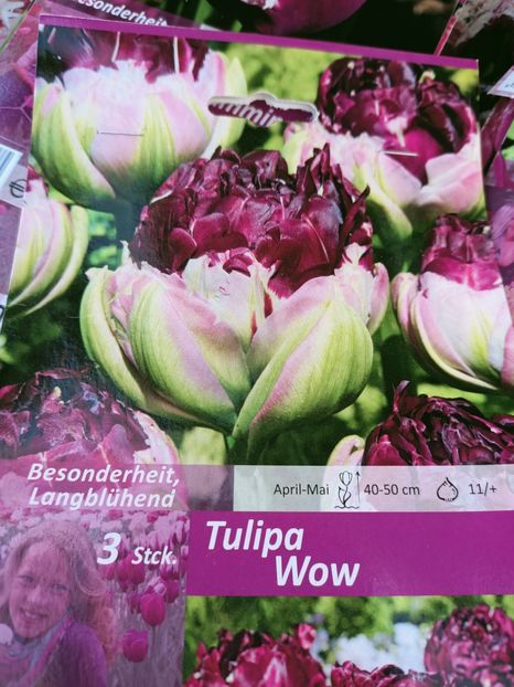 Img.2021.09.30 - A -Magazin