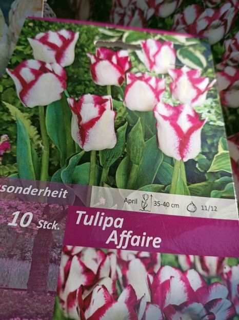 Img.2021.09.30 - A -Magazin