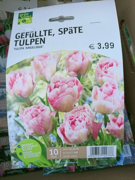 Img. 2021.09.30 - A -Magazin