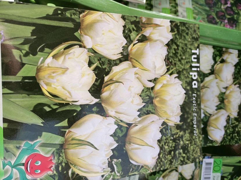 Img.20210930094425 - A -Magazin