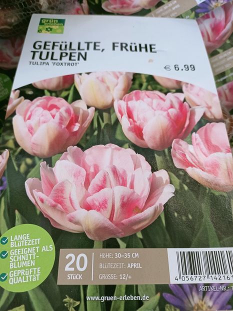 Img.2021.09.30 - A -Magazin