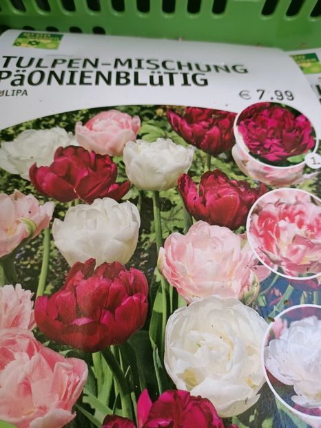 Img.2021.09.30 - A -Magazin