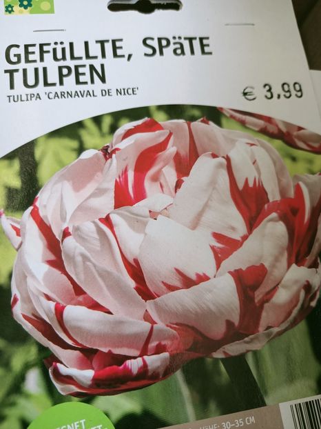 Img. 2021.09.30 - A -Magazin