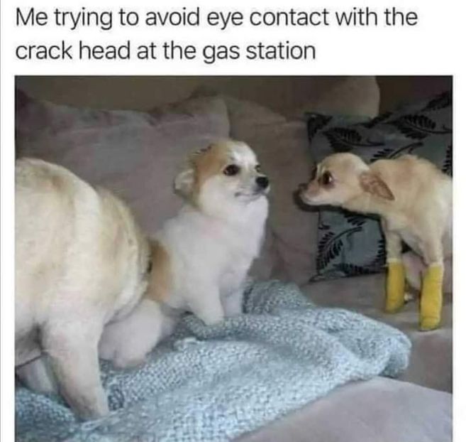  - am i too good to be gone